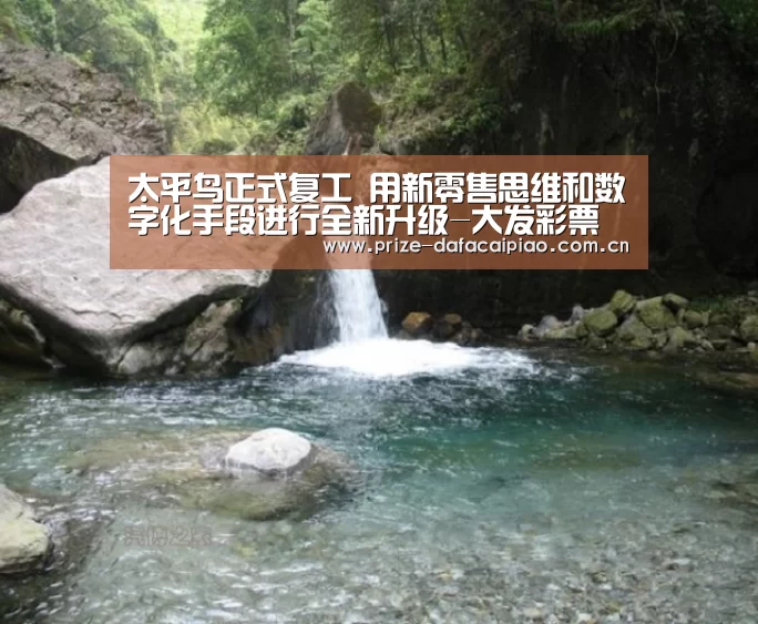 大发彩票app