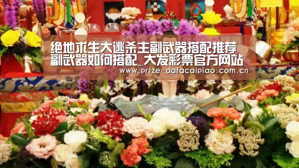 大发彩票官方网站