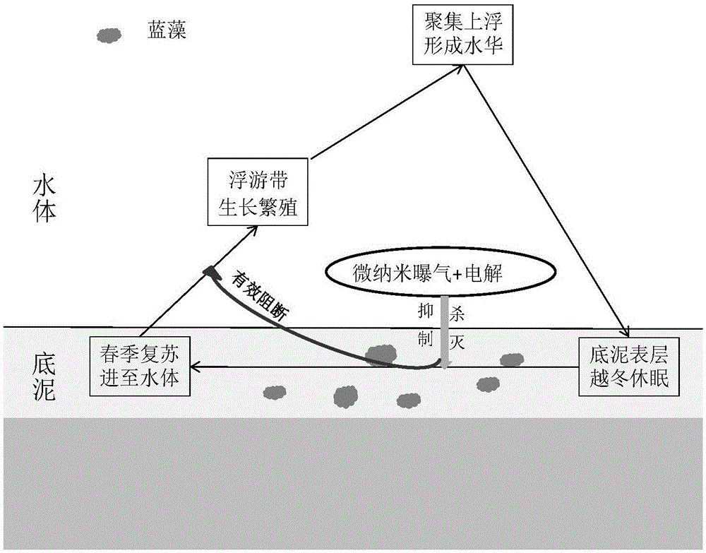 大发彩票app