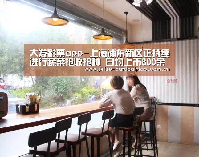 大发彩票app-上海浦东新区正持续进行蔬菜抢收抢种 日均上市800余吨(图1) 大发彩票app