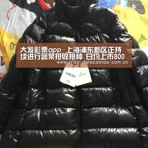 大发彩票app-上海浦东新区正持续进行蔬菜抢收抢种 日均上市800余吨(图2) 大发彩票app