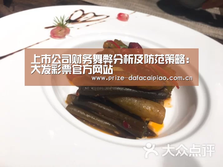 上市公司财务舞弊分析及防范策略:大发彩票官方网站(图4) 大发彩票app